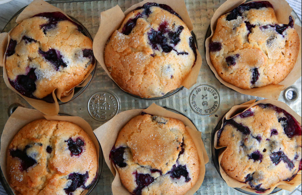 Blueberry Muffin