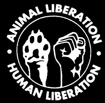 Animal Rights