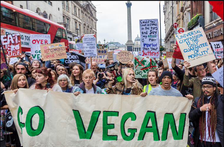 Veganism And Social Justice